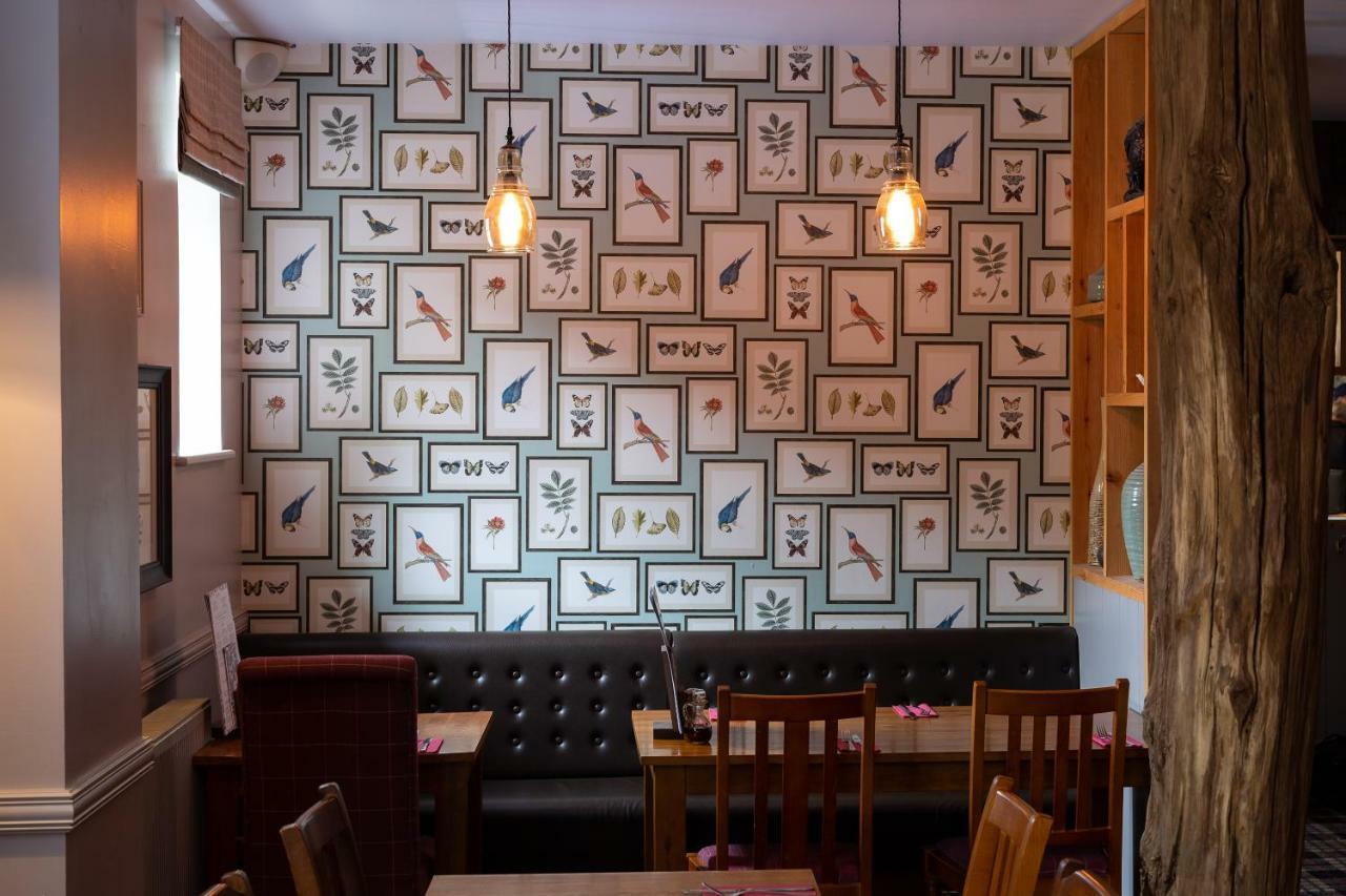 هوك The Poacher Inn المظهر الخارجي الصورة